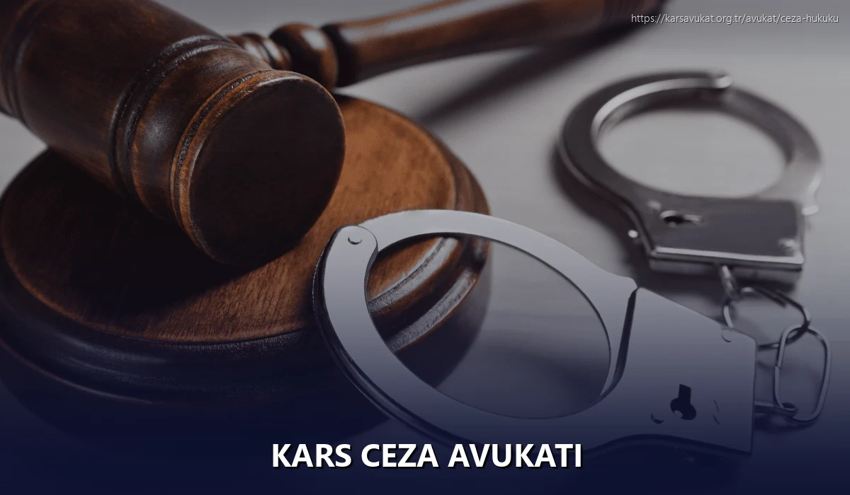 Kars Ceza Avukatı
